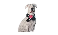 Chilly Dog 3L Black Polka Dot Flower Dog Sweater