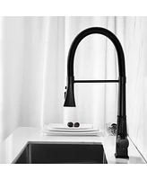 Streamdale Furniture Kitchen Faucet With Pull Down Sprayer