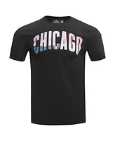 Pro Standard Men's Black Chicago Cubs Cityscape T-Shirt