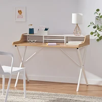 Streamdale Furniture Modern Computer Desk with Storage and Durable Iron Legs