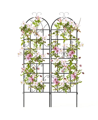 Slickblue 2 Pack 71 x 20 Inch Metal Garden Trellis for Climbing Plants