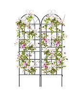 Slickblue 2 Pack 71 x 20 Inch Metal Garden Trellis for Climbing Plants