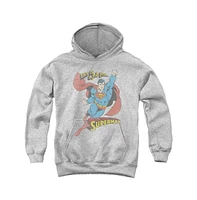 Dc Comics Boys Youth On The Job Pull Over Hoodie / Hooded Sweatshirt