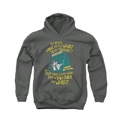 Pinky And The Brain Boys Youth World Pull Over Hoodie / Hooded Sweatshirt