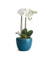 Napa Home & Garden Shawna Pot Small