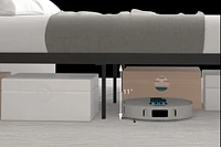 Ceres Metal Bed, Black With Walnut Wood Headboard&Footboard, Queen
