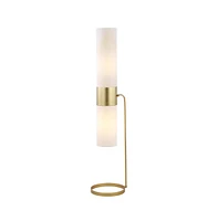 Safavieh Fierro Floor Lamp