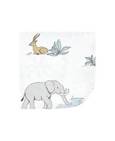 Hudson Baby Infant Boy Flannel Cotton Washcloths