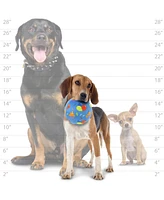 Mighty Ball Medium Celebration, Durable Squeaky Dog Toy