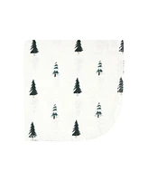 Hudson Baby Infant Boy Flannel Washcloths, Boy Woodland Pals 10Pk, One Size