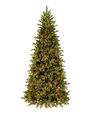 National Tree Company Princeton Fraser Fir Tree, 7.5 feet.