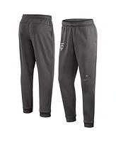 Nike Men's Gray Minnesota Twins Authentic Collection Travel Player Performance Pants