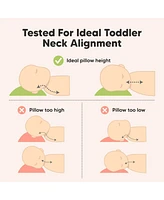 Toddler Pillow with Pillowcase