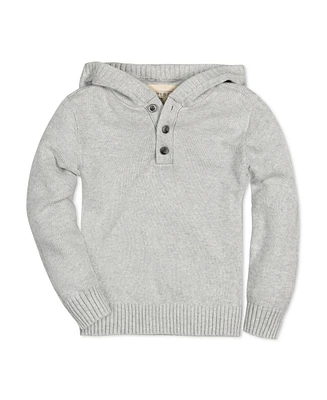 Hope & Henry Baby Boys Organic Long Sleeve Henley Sweater Hoodie