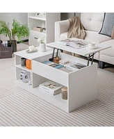 Vebreda Modern Coffee Table with Lift Tabletop and Storage Compartments