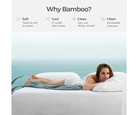 Cariloha Mattress Protector | White | Cal King | 100% Waterproof Protection | Viscose Material | Naturally breathable and Moisture wicking