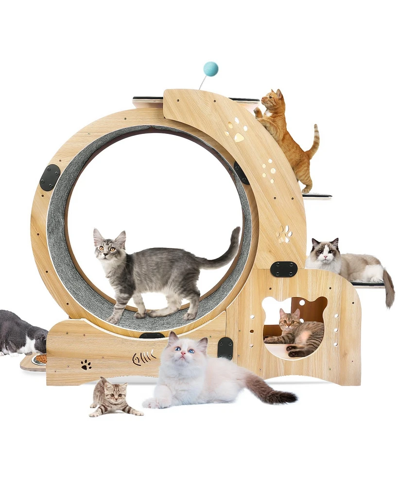 Simplie Fun 6-in-1 Cat Wheel: Exercise, House, Shelf, Bowl, Treadmill