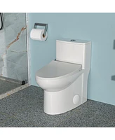 Streamdale Furniture Ceramic One Piece Toilet, Dual Flush With Soft Closing Seat 0002