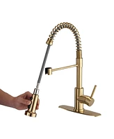 Streamdale Furniture Pull Down Sprayer Spring Kitchen Sink Faucet Brushed Gold