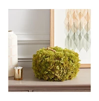 Safavieh Faux 10 Inch Moss Pumpkin