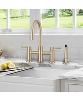 Streamdale Furniture Double Handle Bridge Kitchen Faucet With Side Spray