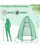 Skonyon 5.5 x 5.5 x 6 Feet Portable Mini Greenhouse with All-Weather Pe Cover