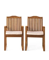Christopher Knight Home Della Wood Acacia Armchair