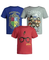 Harry Potter Boys 3 Pack Pullover T-Shirts to