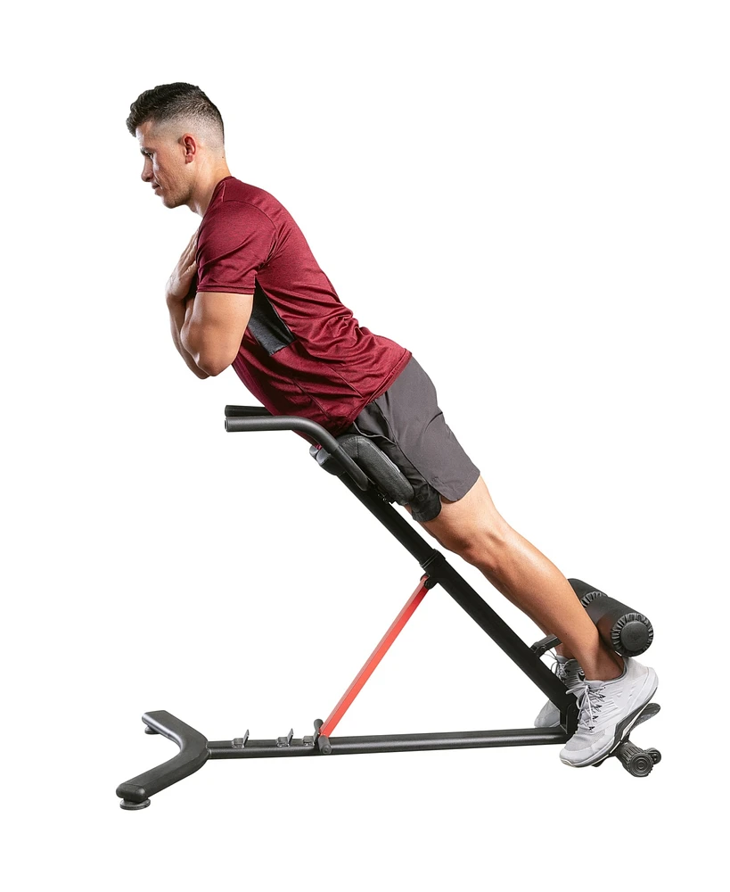 Sunny Health & Fitness Hyperextension Roman Chair with Dip Station - Sf-BH620062