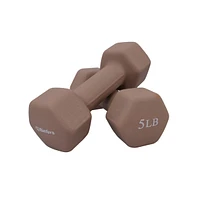 Bintiva Neoprene Hexagon Shaped Dumbbells - Taupe - 5lbs