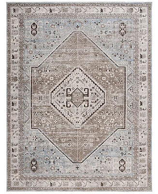 Safavieh Antique Patina ANP646M 4'x5'7" Area Rug