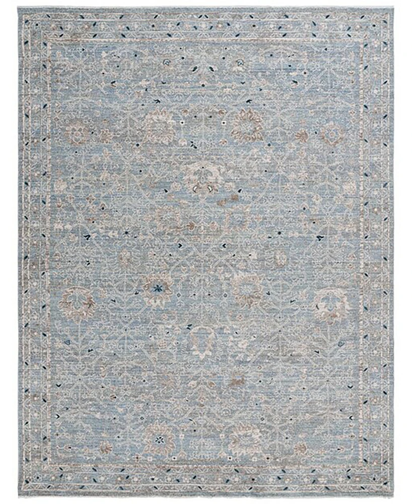 Safavieh Antique Patina ANP656M 10'x12'9" Area Rug