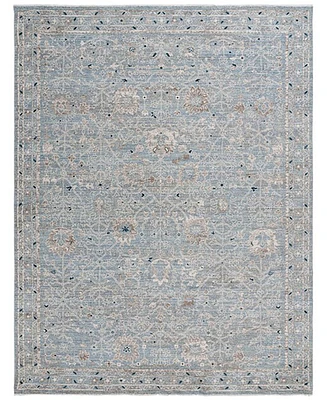 Safavieh Antique Patina ANP656M 10'x12'9" Area Rug