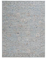 Safavieh Antique Patina ANP656M 10'x12'9" Area Rug