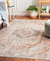 Safavieh Baltimore BAL854B 8'x10' Area Rug