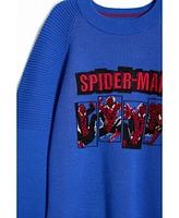 Desigual Boys Boys's Spiderman sweatshirt without hood