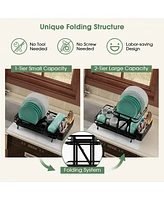 2-Tier Collapsible Dish Rack with Removable Drip Tray