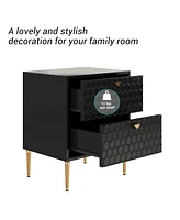 Boyel Living 24.4"Tall 2-Drawer High Gloss Nightstand