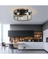 Sofucor 20" Caged Ceiling Fans with Lights