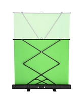 Yescom 4 Pack 62x81inch Floor Standing Green Screen Panel Collapsible Background for Video