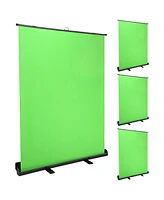 Yescom 4 Pack 62x81inch Floor Standing Green Screen Panel Collapsible Background for Video