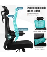 Vebreda Mesh Office Chair with Adaptive Lumbar Support Flip-up Armrests Reclining Backrest-Black