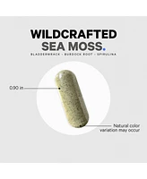 Codeage Raw Wildcrafted Sea Moss, Irish Moss Chondrus Crispus, Bladderwrack Seaweed, Burdock Root, Spirulina Algae, BioPerine� Black Pepper & O