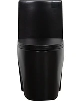 1.1 Gpf Dual-Flush Toilet with Soft Close Seat and Matte Black Finish