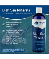 Trace Minerals Pure Utah Sea Minerals Dietary Supplement | Naturally Concentrated Inland Seawater | Sport Electrolyte Replacement Drink | Nutritional