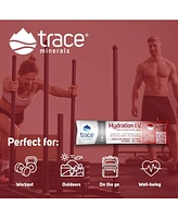 Trace Minerals Hydration I.v. Electrolytes Powder Packets | Full Spectrum Recovery Mineral Mix for Rapid Rehydration, Natural Energy and Muscle Stamin