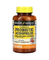 Mason Natural Probiotic Acidophilus with Bifidus 2 Billion Cfu Per Serving