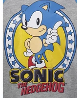Sega Little Boys Sonic the Hedgehog Hoodie