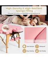 Vebreda Portable Adjustable Facial Spa Bed with Carry Case-Pink