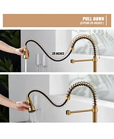 Casainc 1.8 Gpm Britt Commercial Style Pull Down Single Handle Kitchen Faucet